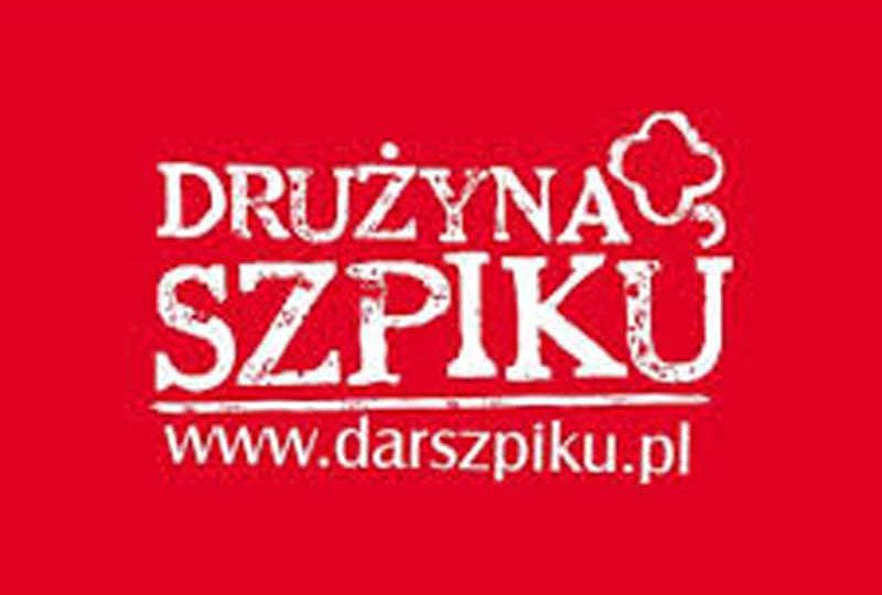 logo_drużyna-szpiku